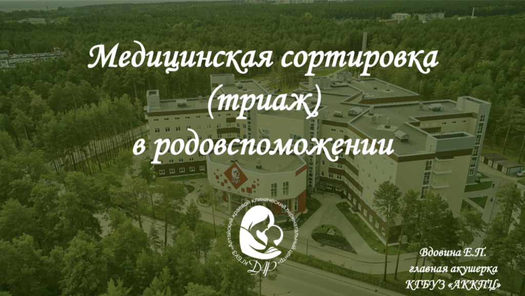 Вдовина Е.П..png